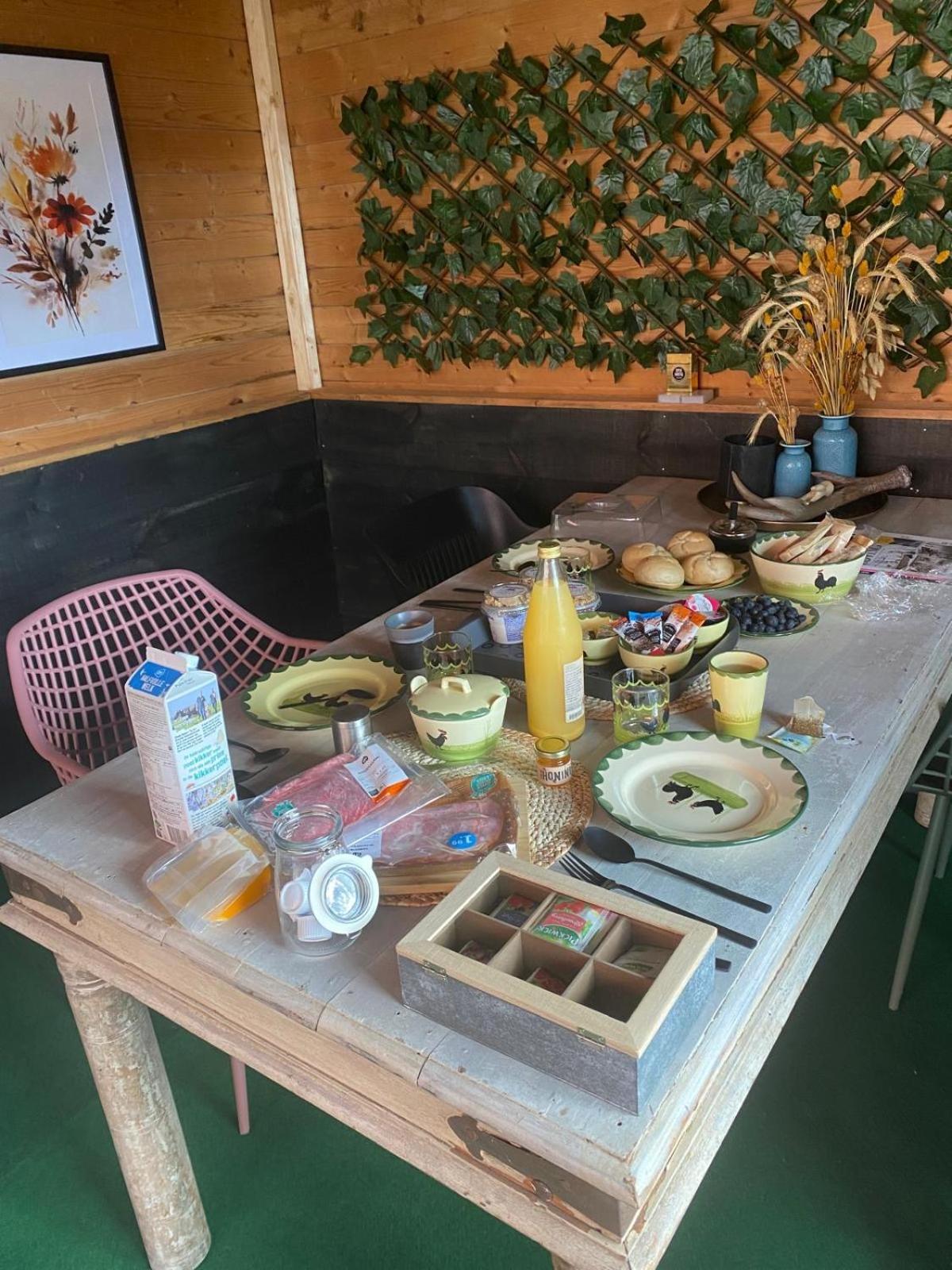 Vakantiehuis Klaartje Kip Voor 4 Personen, Landelijk Gelegen! Enschede Zewnętrze zdjęcie